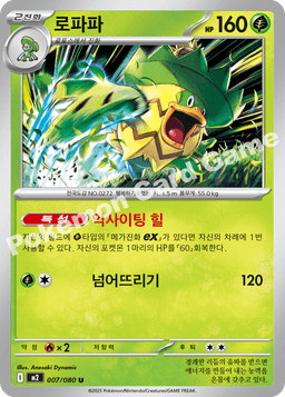 로파파