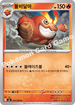 불비달마
