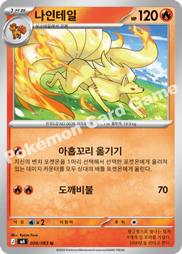 나인테일