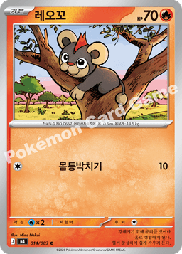 레오꼬