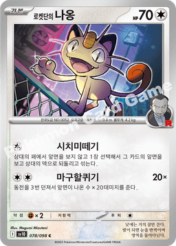 로켓단의 나옹