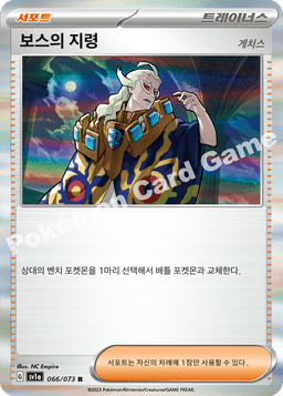 보스의 지령(게치스)