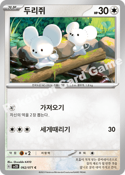 두리쥐