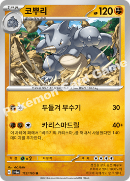 코뿌리