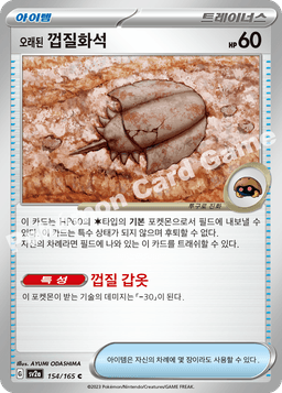 오래된 껍질화석