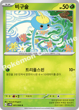 비구술