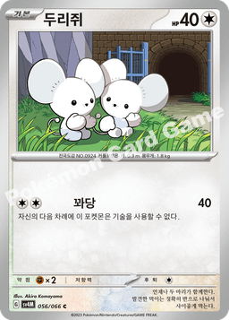 두리쥐