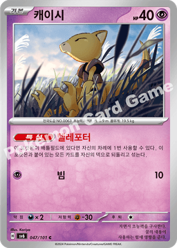 캐이시