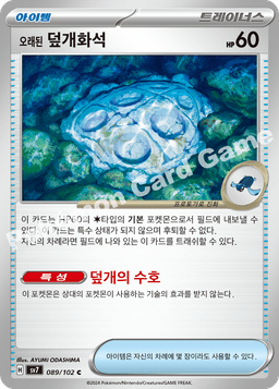오래된 덮개화석
