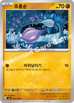 초롱순